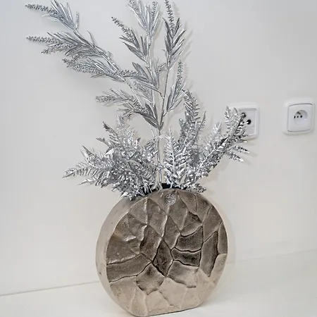 Appartamento Magnificent Silver *