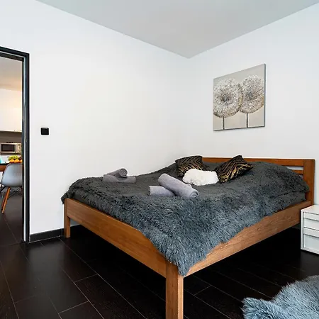 Apartament Magnificent Silver